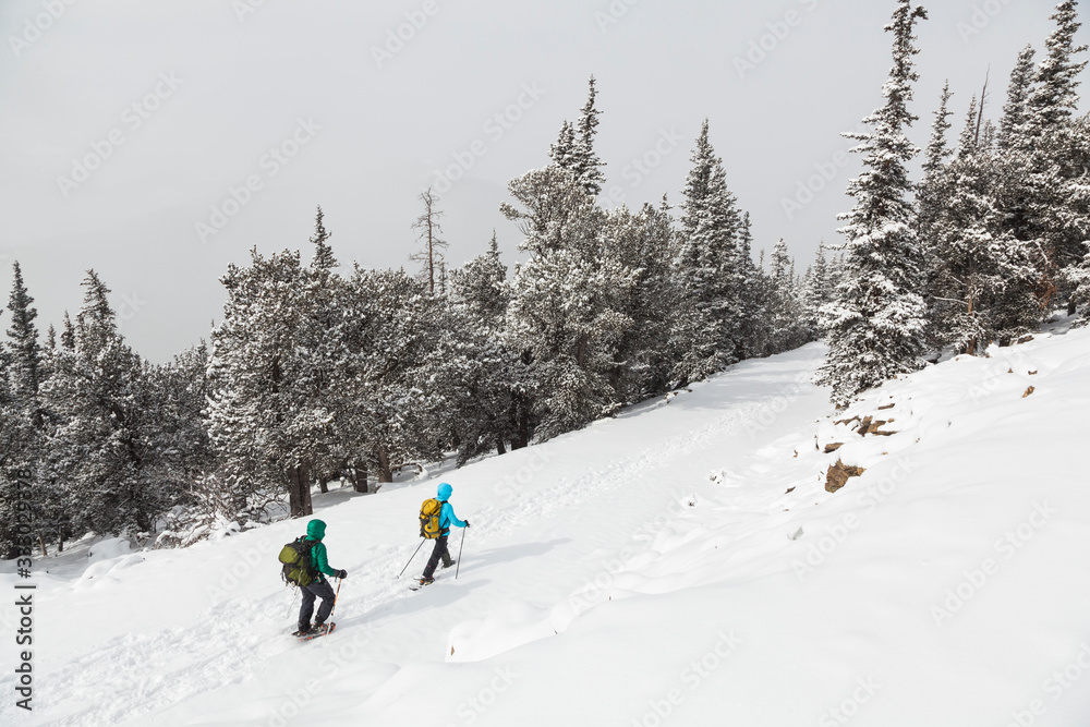 Snowshoers hike snow-covered road to Squaw Mountain Lookout, Colorado Snowshoers hike snow-covered road to Squaw Mountain Lookout, Colorado