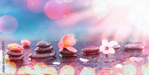 Canvas Print Zen arrangement