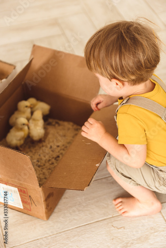 boy playing with ducks for Easter photo