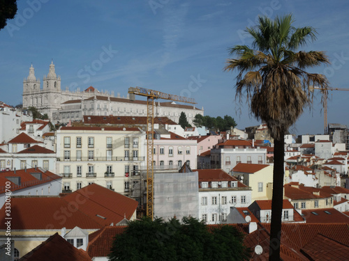View of the Lisbon area from above, with white houses and red roofs with a palm tree on the side.
