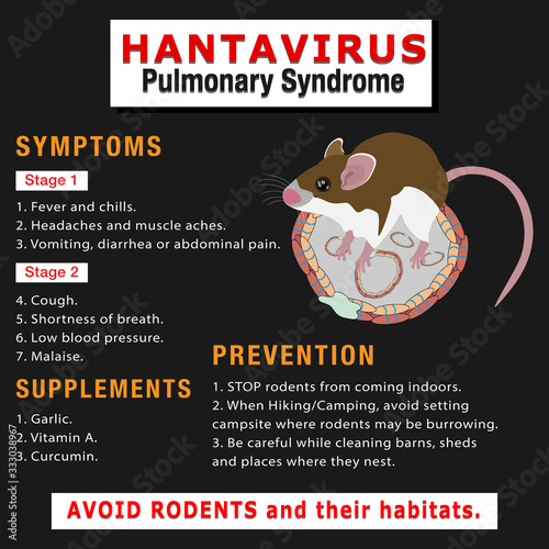 Informative banner/flyer/poster on Hantavirus, symptoms, prevention and supplement details.  photo