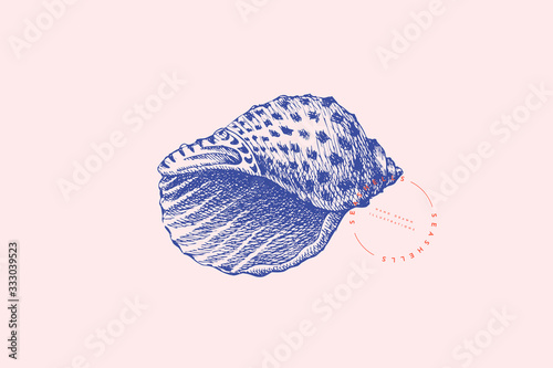 Hand-drawn spiral tiger shell vector illustration on a pink background. Ancient molluscan engraved line. Fauna of the sea and ocean in retro style. Design element for invitation, poster, postcard.