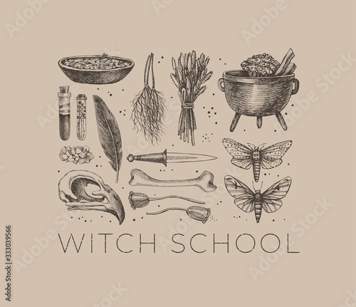 Monochrome set of mystical items for witchcraft. Elements of witch or wizard set: bird skull, test tubes with a potion, bone, herbs, dried insects, bowler, knife. Magic illustration. Pagan traditions.