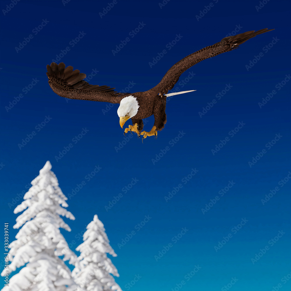 Obraz premium bald eagle is diving on white snow