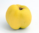 One fresh quince fruit on white background