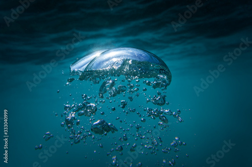 Bubbles underwater, Sydney Australia