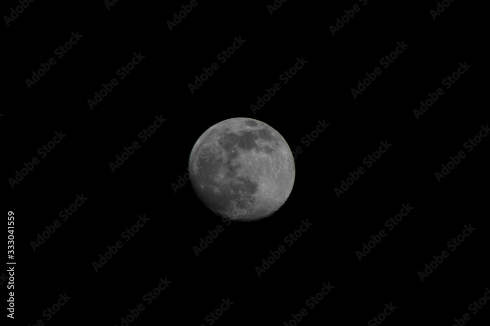 Moon Moon