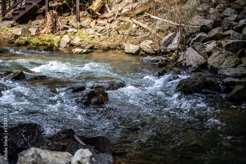 rocky mountain stream in the forest