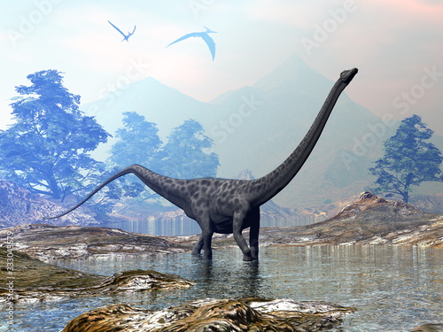 Diplodocus dinosaur walking peacefully in the water by sunset - 3D render © Elenarts