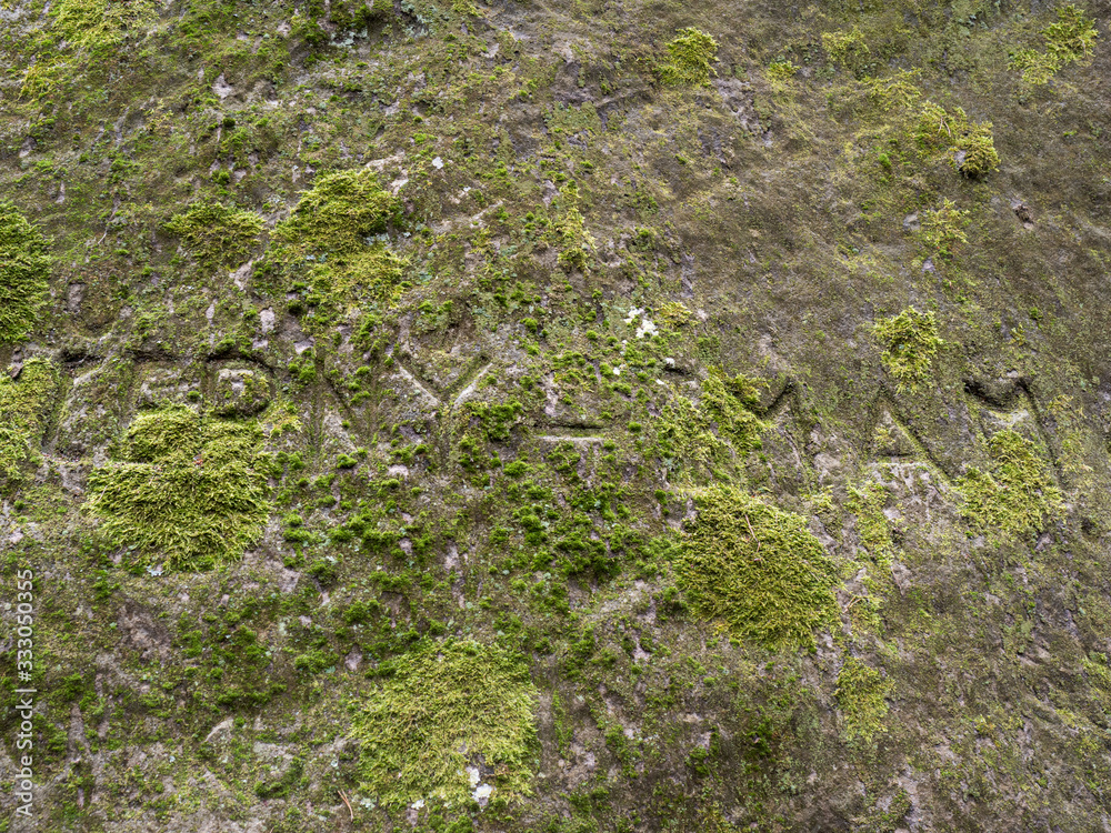Curved text hidden in moss growing on sandstone