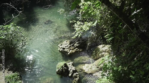 Waterfall Forest