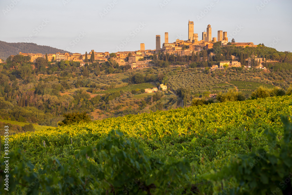 medieval town of San Gimignano from vineyards, Tuscany, Italy.
