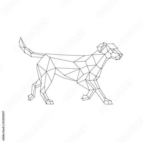 Low polygon wireframe line art style illustration of a labrador retriever, a medium-large breed of retriever-gun dog standing viewed from side on isolated white background done in  black and white.