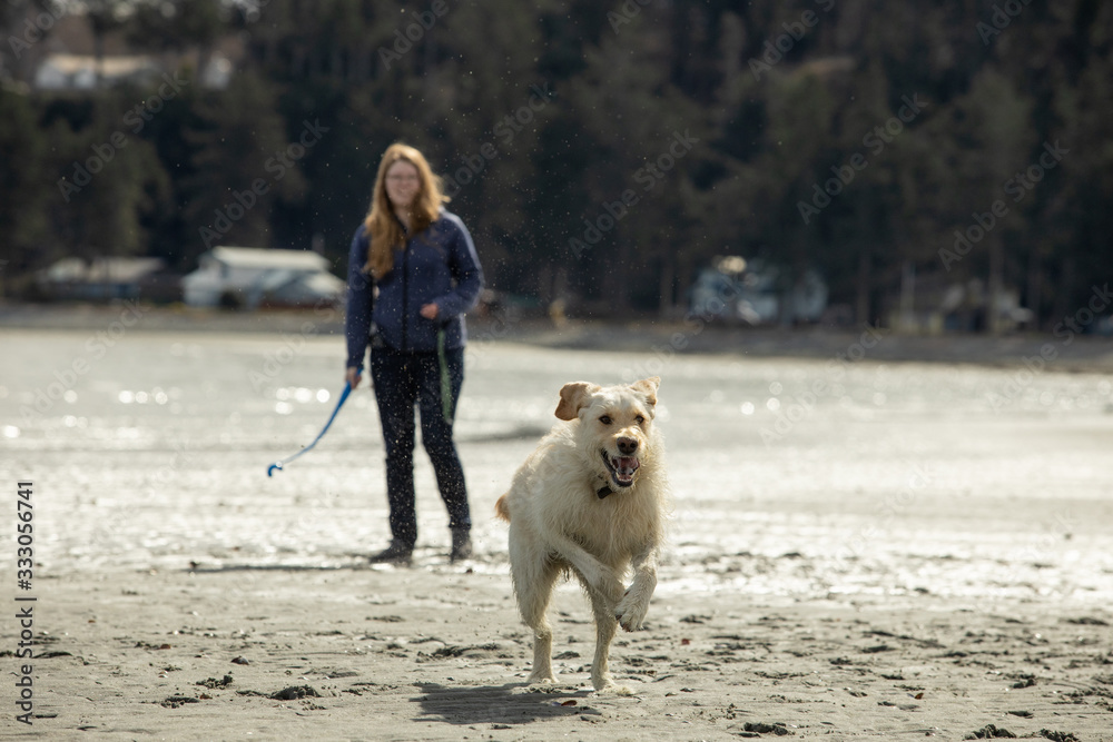 woman with dog on the beach on Vancouver Island Canada woman with dog on the beach on Vancouver Island Canada