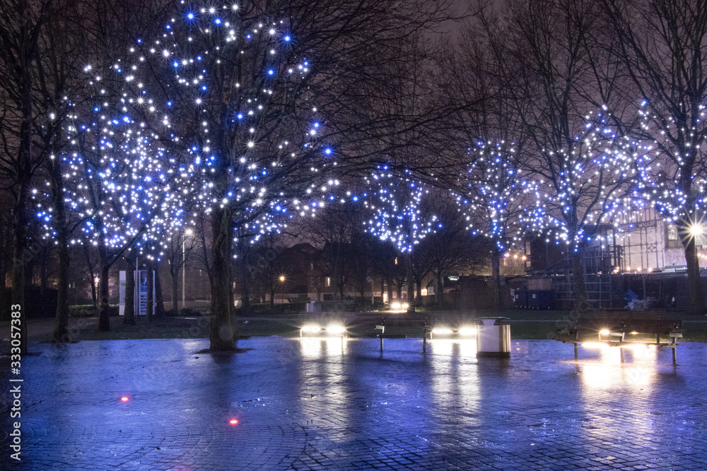 light on trees, london by night before christmas light on trees, london by night before christmas