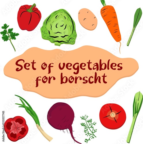 Ingredients for preparation of borscht. Different colorful vegetables clipart set.