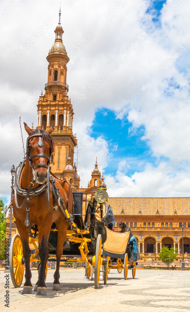 Fototapeta premium horse in a square of sevilla