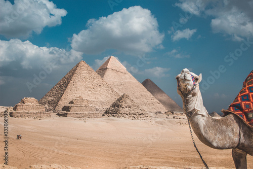 Unique view for Giza pyramids with clouds and camel (Pyramids of Giza,Egypt) 