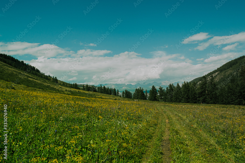 dirt road with summer valley, forest and mountain range on horizon