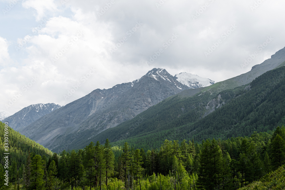 valley with pine forest and rocky peaks on horizon, mountain tourism, outdoor relaxation