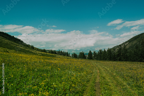 dirt road with summer valley, forest and mountain range on horizon