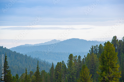 Fototapeta Naklejka Na Ścianę i Meble -  forest hills on horizon are covered with haze, mountain range in  distance in fog, reaching distant goal on way on foot