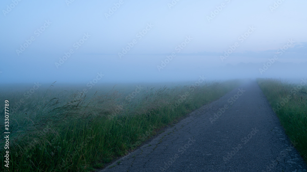 A path in the middle of the grass in fog morning, blurred distance A path in the middle of the grass in fog morning, blurred distance