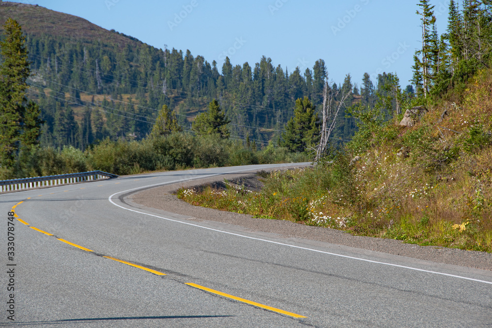 dry asphalt road with marking lines in forest, road trip to mountains