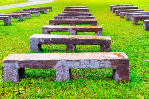 Bench and grass green after the rain morning