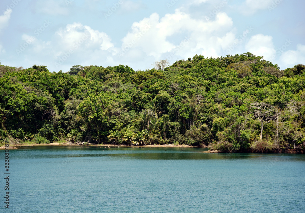 Green landscape of Panama Canal, view from the transiting cargo ship.