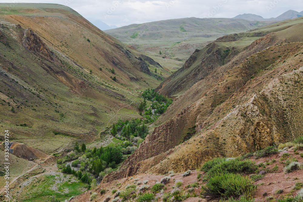 Fototapeta premium mountain canyon with red soil, river valley with gorges and green trees, soil erosion, formation of ravines from drought