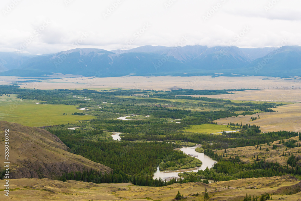 ribbon of river in mountain valley, winding riverbed among coniferous forests with panoramic views