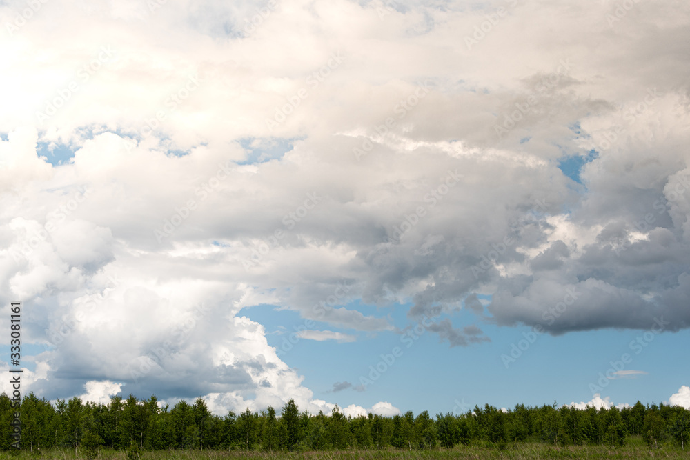 green meadow, pasture with strip of forest on horizon under clouds green meadow, pasture with strip of forest on horizon under clouds