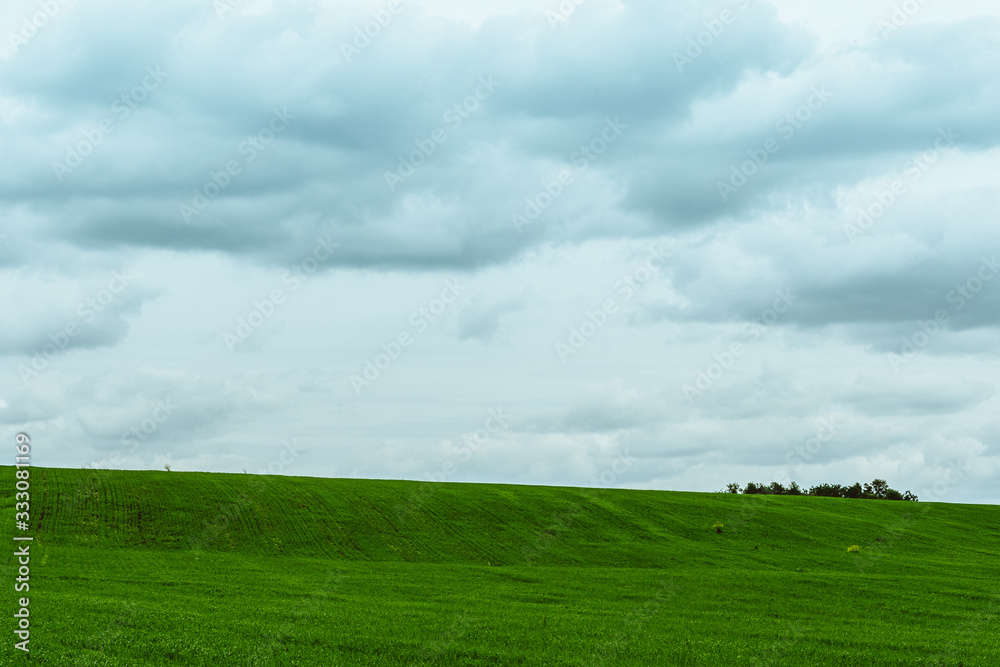 green meadow for grazing, pasture and field for plants green meadow for grazing, pasture and field for plants