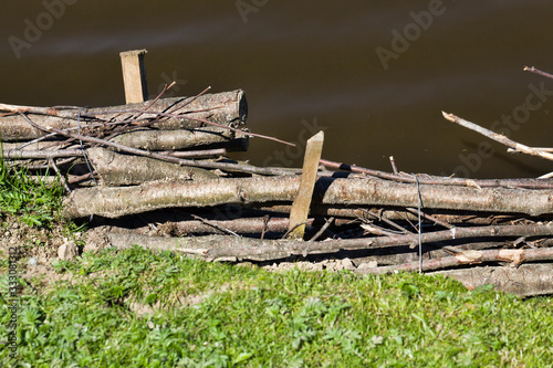 Primate wooden fortifications