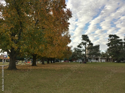 autumn in the park