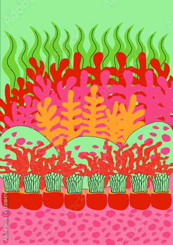 Arrecife de coral