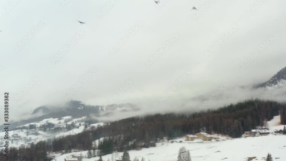 Aerial, drone shot following birds above fields and forest, foggy, winter day, in Dolomites, South Tyrol, Italy Aerial, drone shot following birds above fields and forest, foggy, winter day, in Dolomites, South Tyrol, Italy