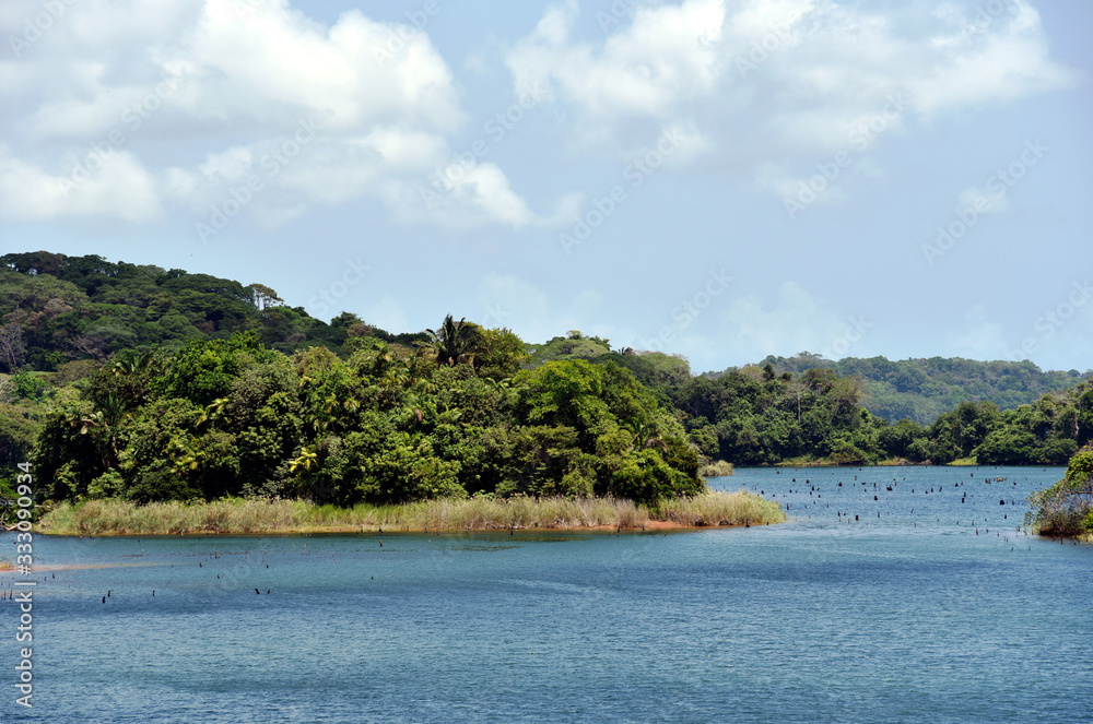 Green landscape of Panama Canal, view from the transiting cargo ship.