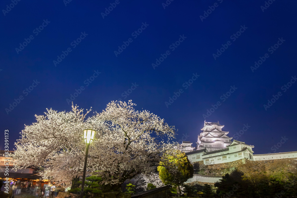 姫路城の夜桜 姫路城の夜桜