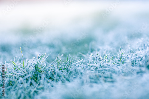 Frozen morning grass bright sunny natural background. Winter background, morning frost on the grass with copy space © icemanphotos