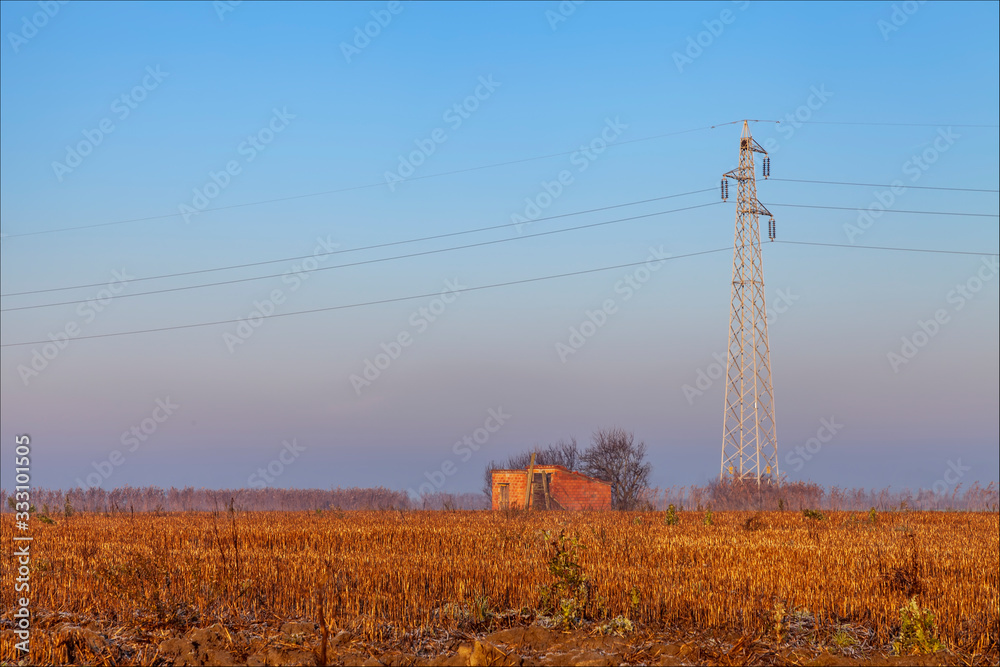 Traliccio elettrico e piccola costruzione rurale in campagna su coltivazione di mais. Traliccio elettrico e piccola costruzione rurale in campagna su coltivazione di mais.