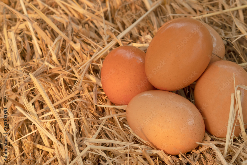 a pile of fresh eggs on the hay straw background a pile of fresh eggs on the hay straw background