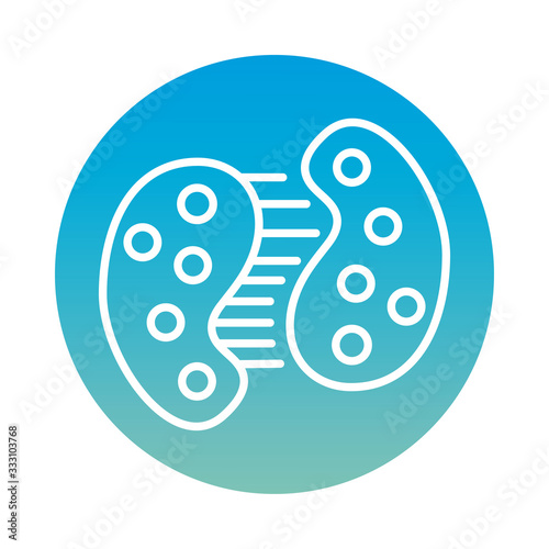 infected cell dividing with covid19 block style icon