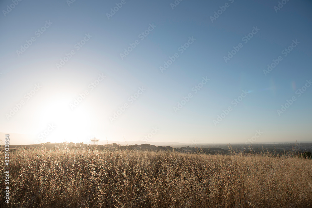 Stanford Dish Trail