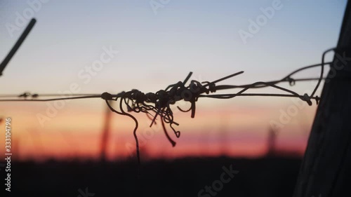 A beautiful purple and orange sunset behind a detail of an iron wire in a vineyard