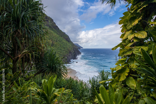  Hawaii Kauai Napali coast Kalalau trail. Kalalau hiking trail the Kauai, Hawaii overlooking the ocean