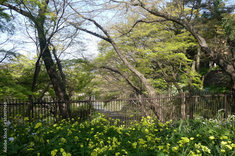 Spring Garden Japan