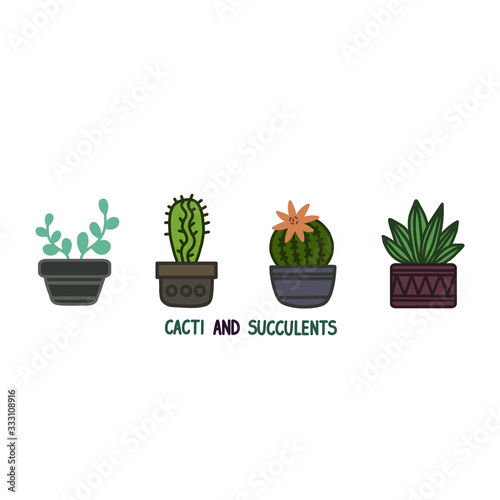 Cactus and succulent plants in pots. Illustration set of hand drawn cacti and succulents growing in cute little pots. Simple cartoon vector style.