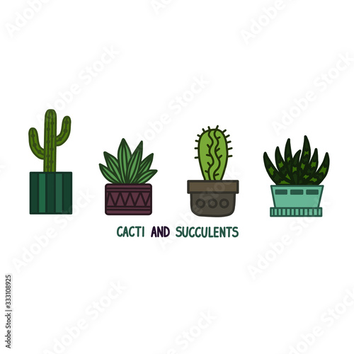 Cactus and succulent plants in pots. Illustration set of hand drawn cacti and succulents growing in cute little pots. Simple cartoon vector style.